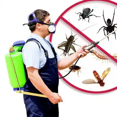 pest control Latimer